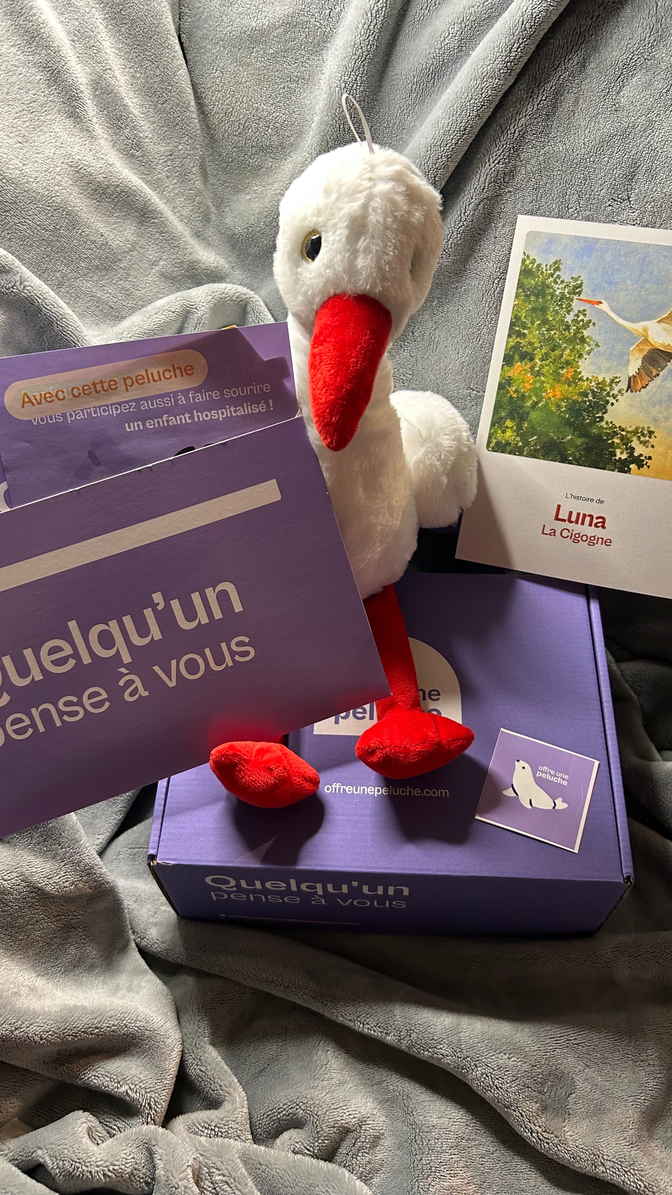Luna la Cigogne 🕊️ Offre une Peluche