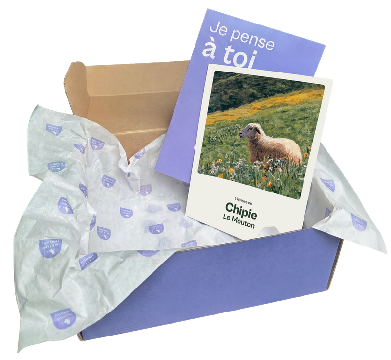 Box cadeau ouverte avec le livret de Chipie le mouton — idée cadeau crémaillère