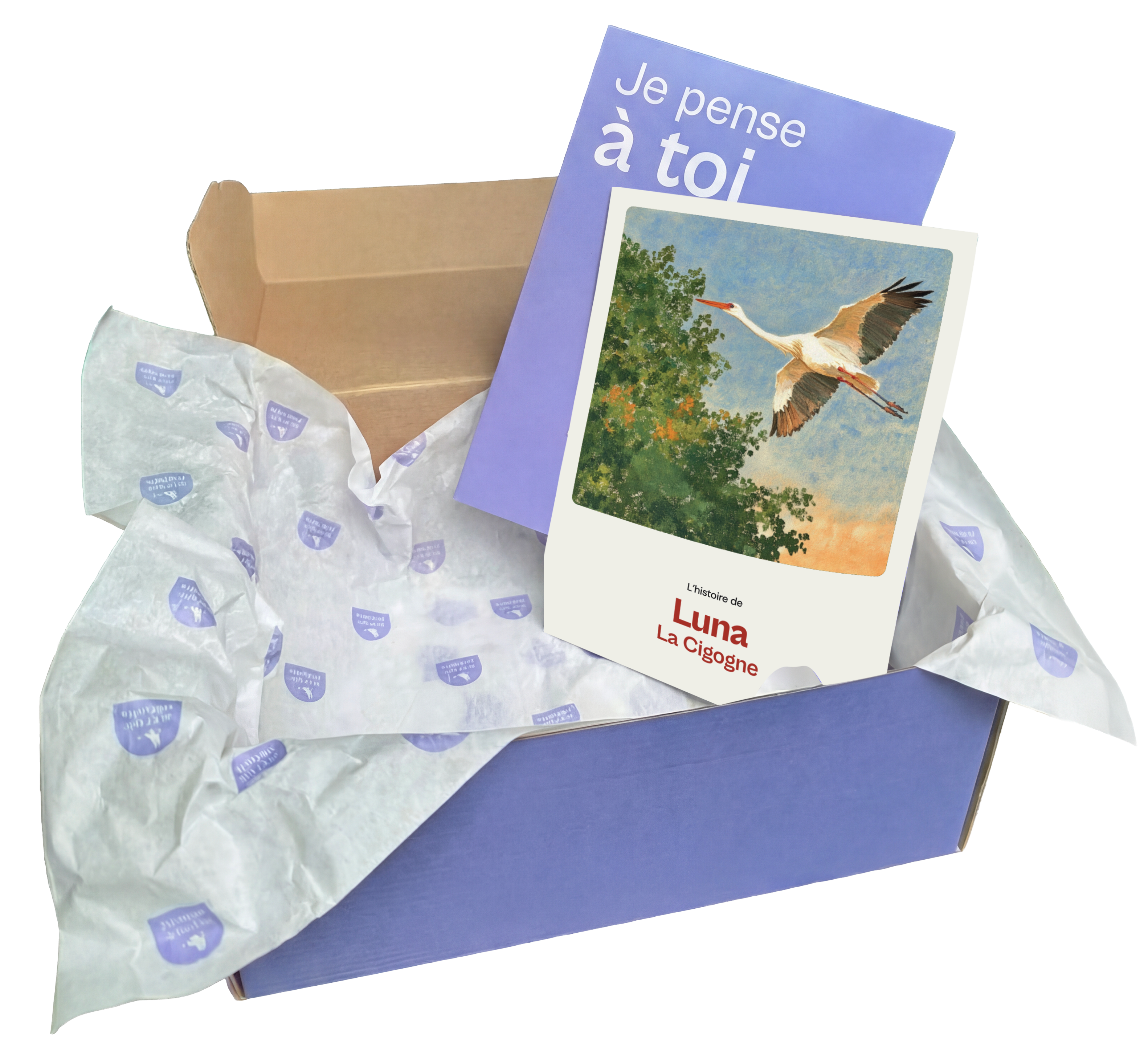 Box de naissance ouverte avec le livret de Luna la cigogne — quel budget pour un cadeau de naissance