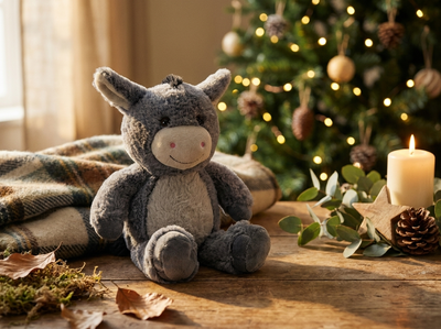 Cadeau de Noël pour son frère : l'idée qui touche