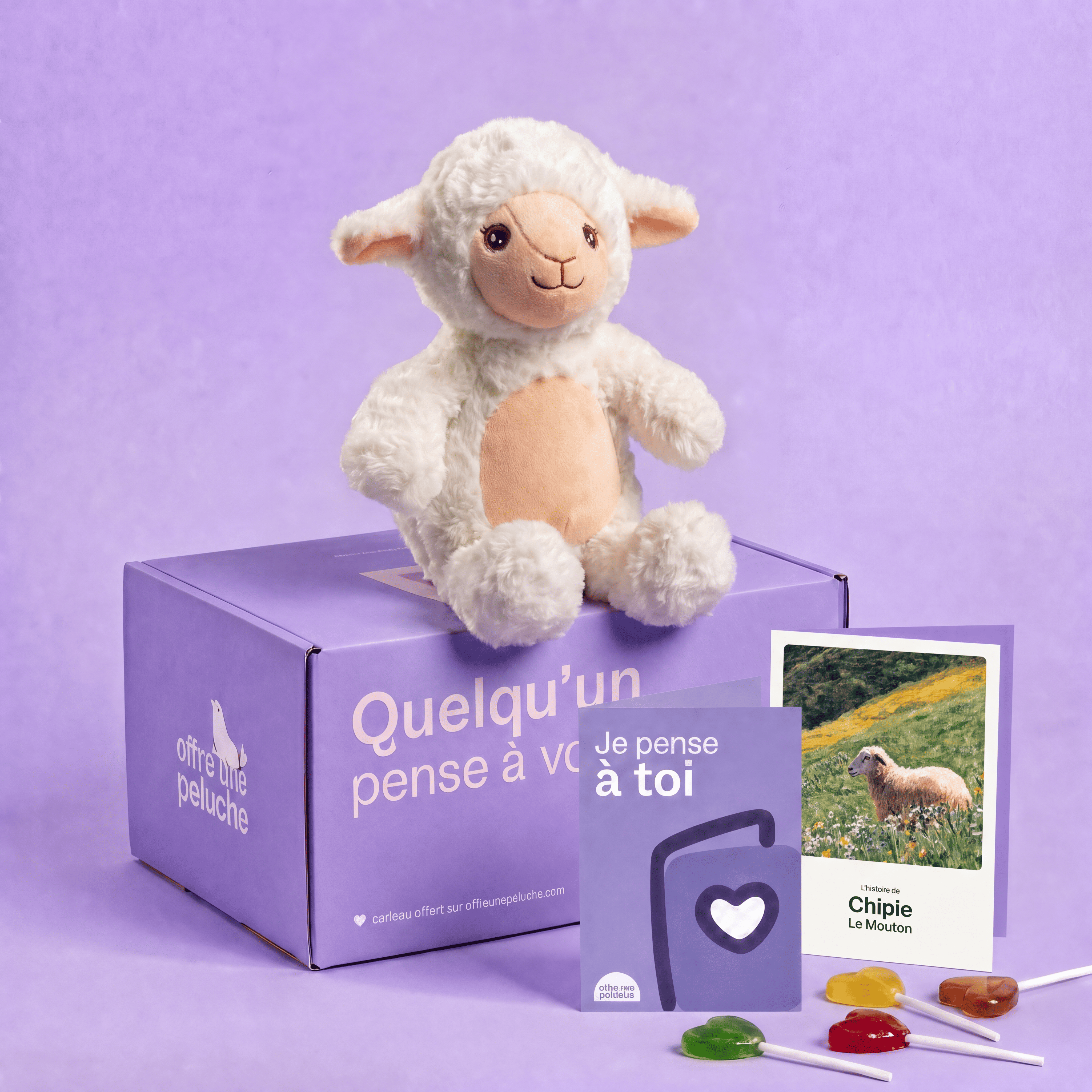 Chipie le Mouton 🐑