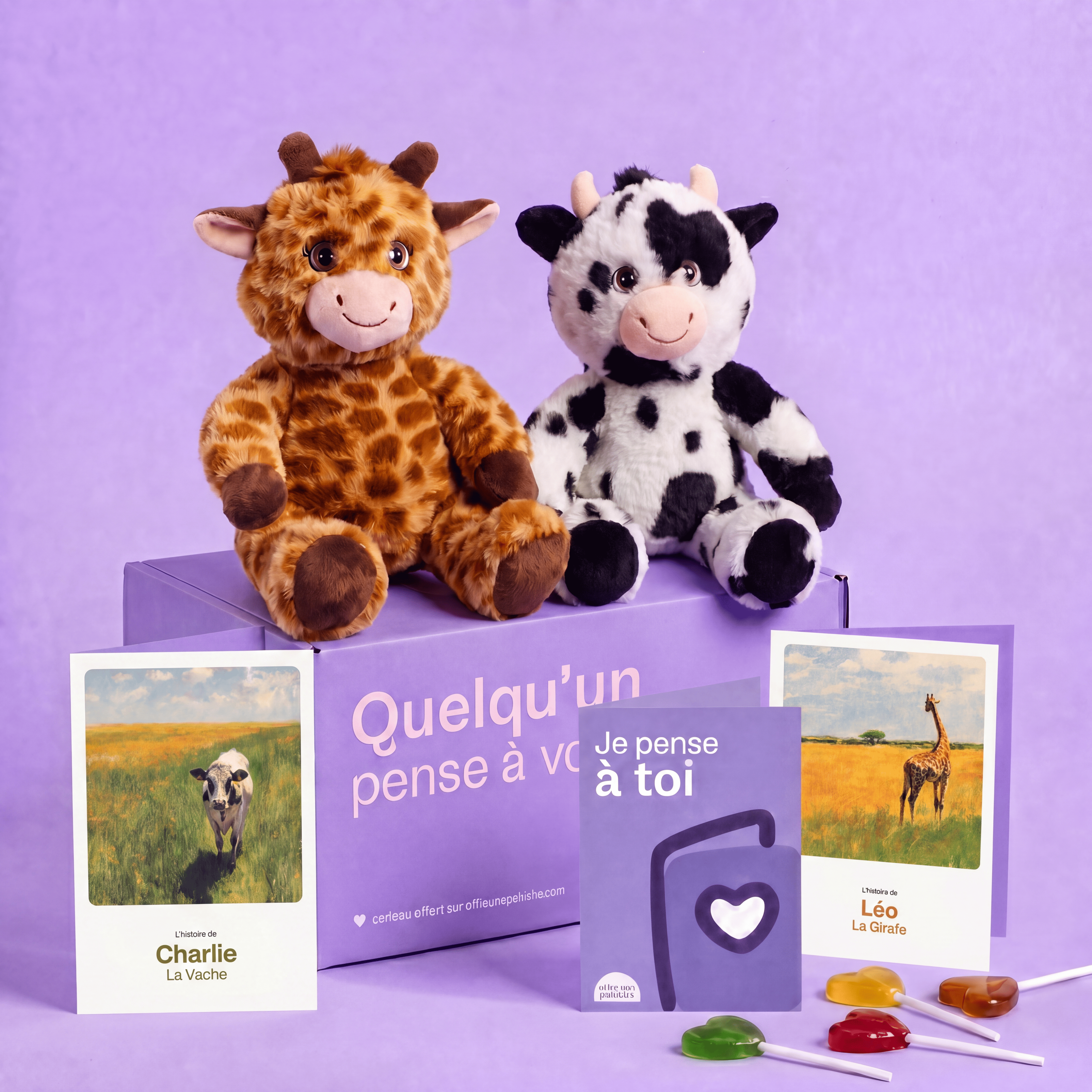 Box Duo – Deux peluches à offrir 🎁