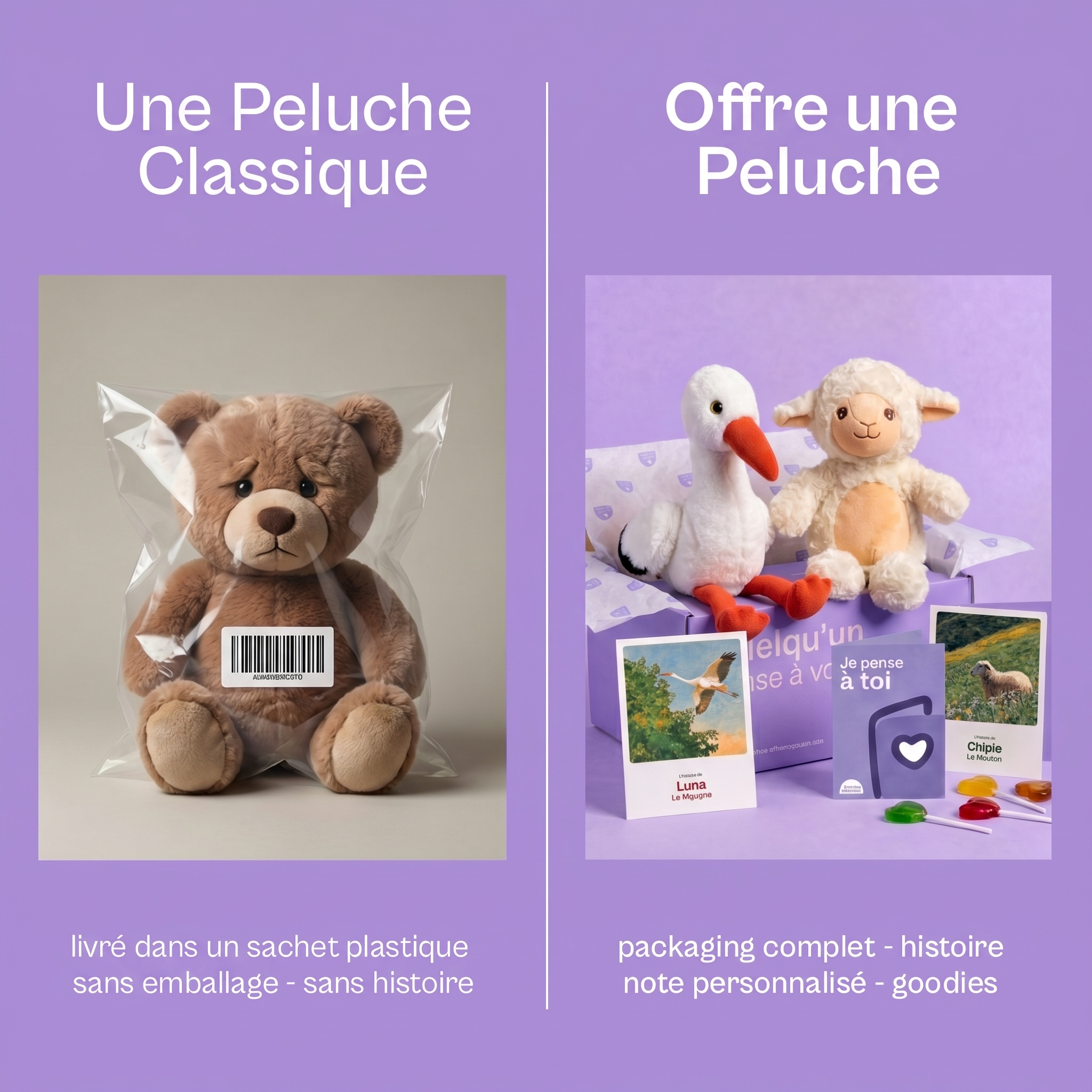 Offre une Peluche - pack cadeau