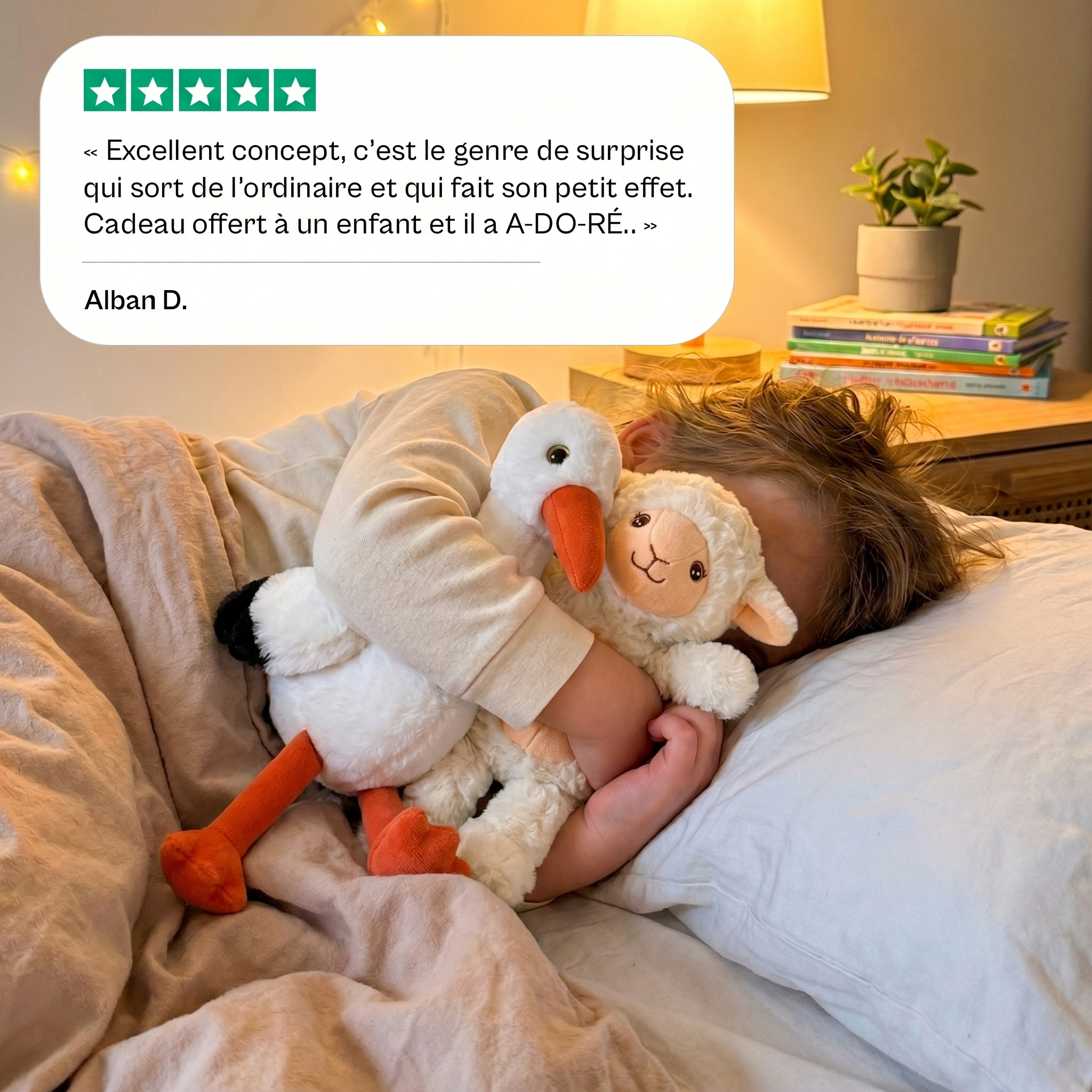 Offre une Peluche - pack cadeau