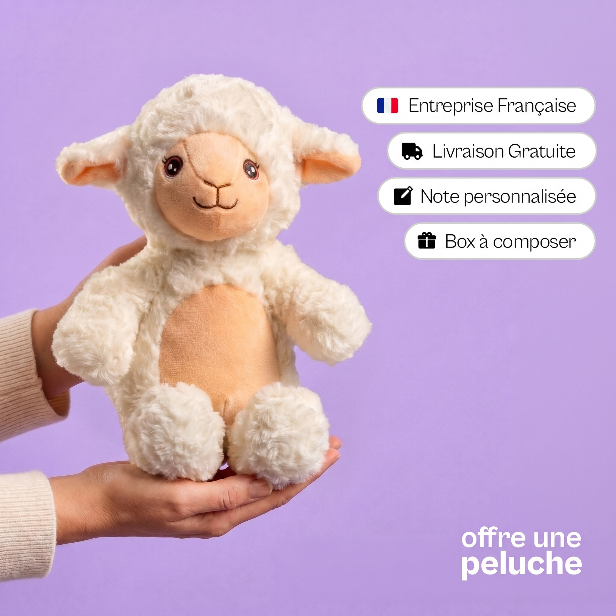 Chipie le Mouton 🐑