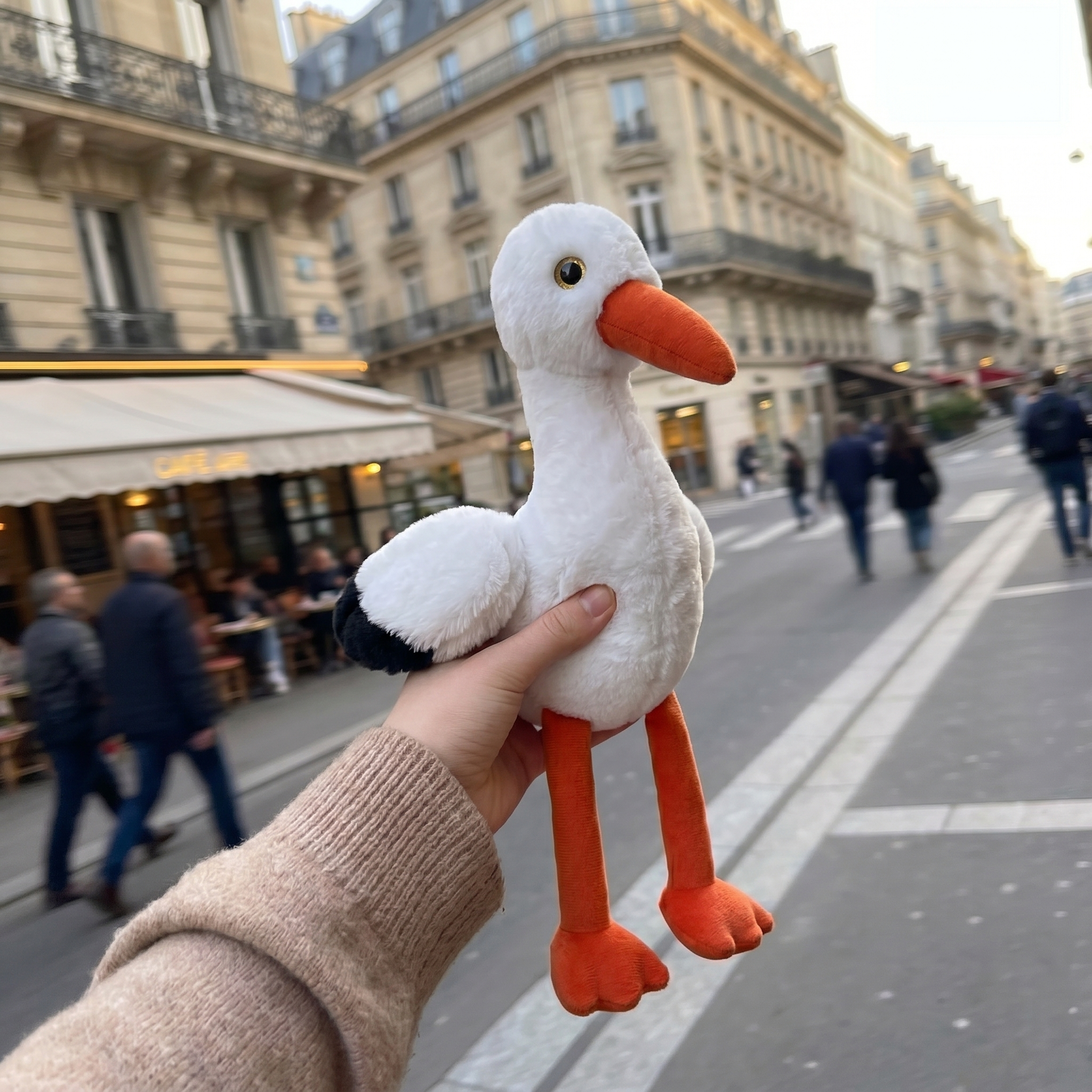 Luna la Cigogne 🕊️