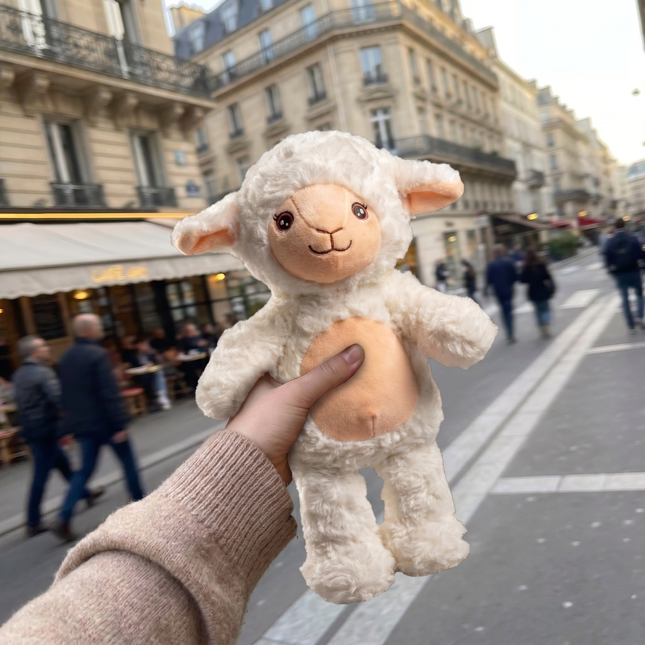Chipie le Mouton 🐑